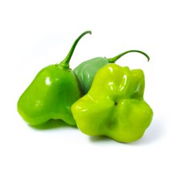 Pimenta Cambuci Bandeja 250g