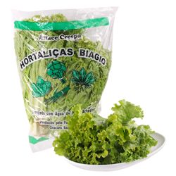 Alface Crespa Hidroponica Biagio Maço