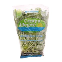 Rucula Hidrop Campo Alegre Mc