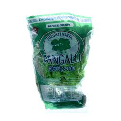 Alface Crespa Hidrop Zangalli Mc