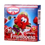 GELAT-D.OETKER-20G-FRAMB