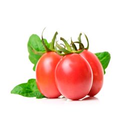 Tomate Mini Italiano Rio Bonito 300g Orgânico