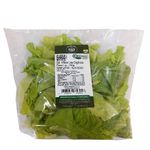 SALADA-ALFACE-LISA-ORG-RDU-150G