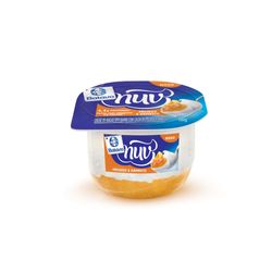 Creme Quark Nuv Batavo 100g Damasco