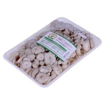 Cogumelo Shimeji Branco Arte Terra 200g