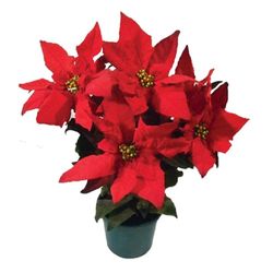Vaso Poinsetia Verm P14