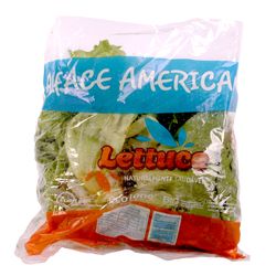 Alface Americana Lettuce Maço