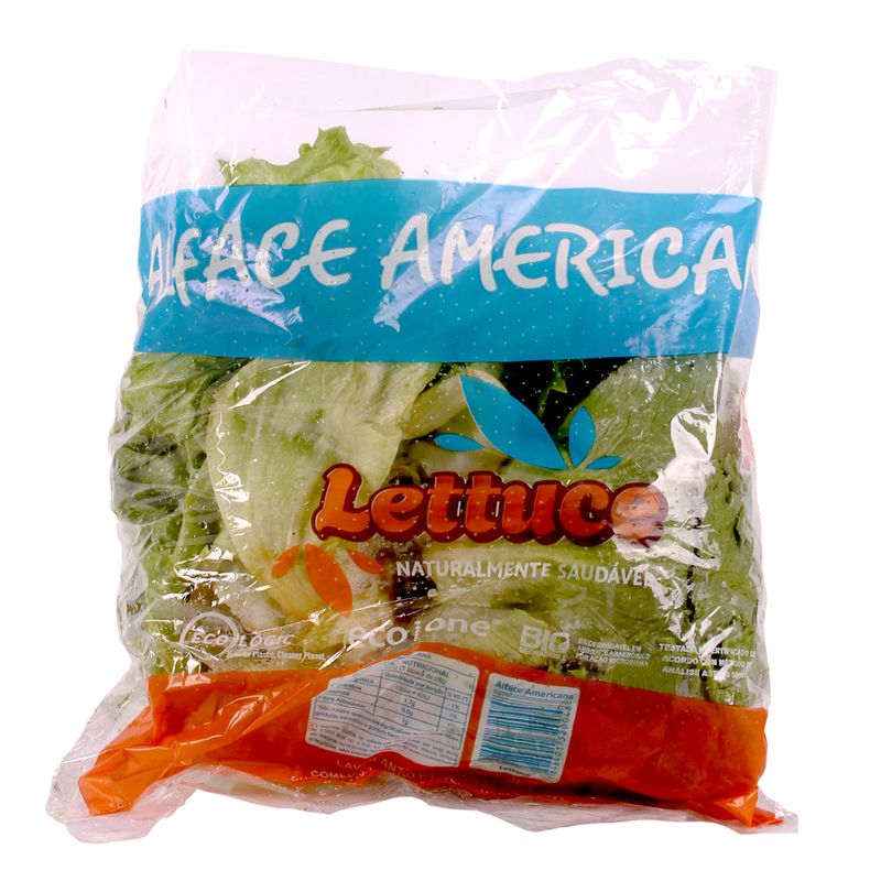 ALFACE-AMERIC-LETTUCE-MC
