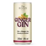 BEB-MIST-EASY-BOOZE-269ML-LATA-GIN-GINGER