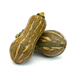 Abobrinha Brasileira Rio Bonito 600g Orgânica