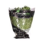 ALFACE-SALAN-GOURMET-HORTIGREEN-MC