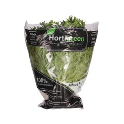 Alface Salanova Gourmet Hortigreen Maço