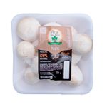 COGUM-FRESC-PARIS-ARTE-TERRA-200G