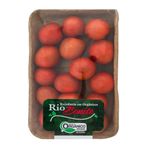 TOMATE-CEREJA-RIO-BONITO-250G-ORG