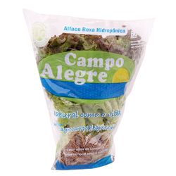 Alface Roxa Hidrop Campo Alegre Mc