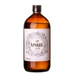GIN-APOGEE-1L