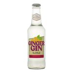 BEB-MIST-EASY-BOOZE-200ML-L.N-GIN-GINGER