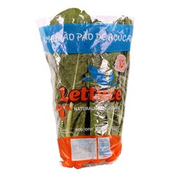 Almeirão Pão Açúcar Lettuce Maço