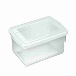 Caixa Organizadora Pleion Biopratika Retagular c/ Tampa 2,5L