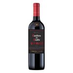 VH-CHI-CASIL-D.DIABLO-750ML-RED-BLEND