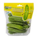 PEPINO-SNACK-RIO-BONITO-200G-ORG