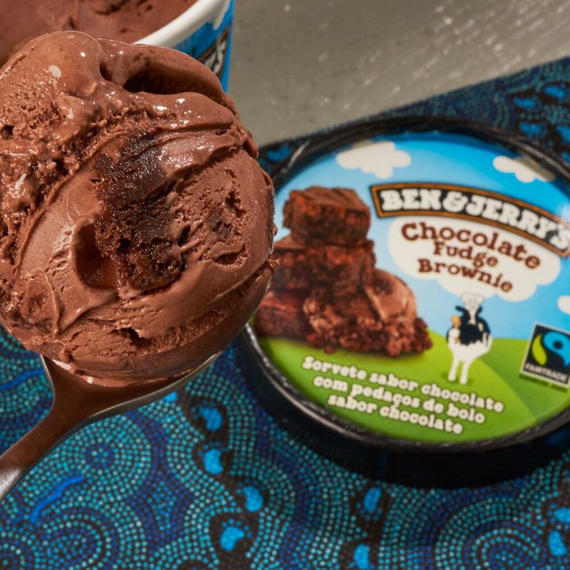 SORV-BEN-JERRYS-458ML-FUDGE-BROWN