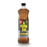 DESINF-PINHO-SOL-1L-POWER