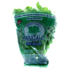 Alface Mimosa Hidrop Zangalli Mc