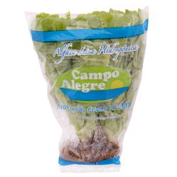 Alface Lisa Hidrop Campo Alegre Mc