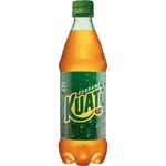 REFRIG-KUAT-600ML-PET-GUARANA