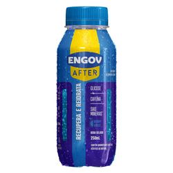 Bebida Engov After 250ml Berry Vibes