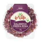 SALANOVA-MINI-CRESPA-R.LA-VITA-100G-BDJ