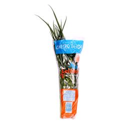 Cheiro Verde Lettuce Maço