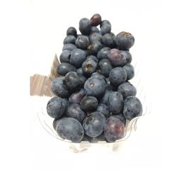Mirtilo Nacional Frutamina 100g