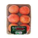TOMATE-SALADA-RIO-BONITO-500G-ORG