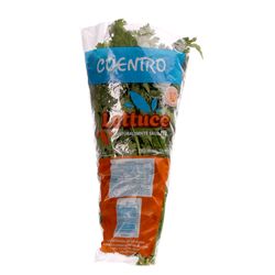 Coentro Lettuce Maço