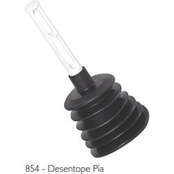 Desentupidor Pia Santa Maria