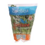 CHICORIA-LETTUCE-MC
