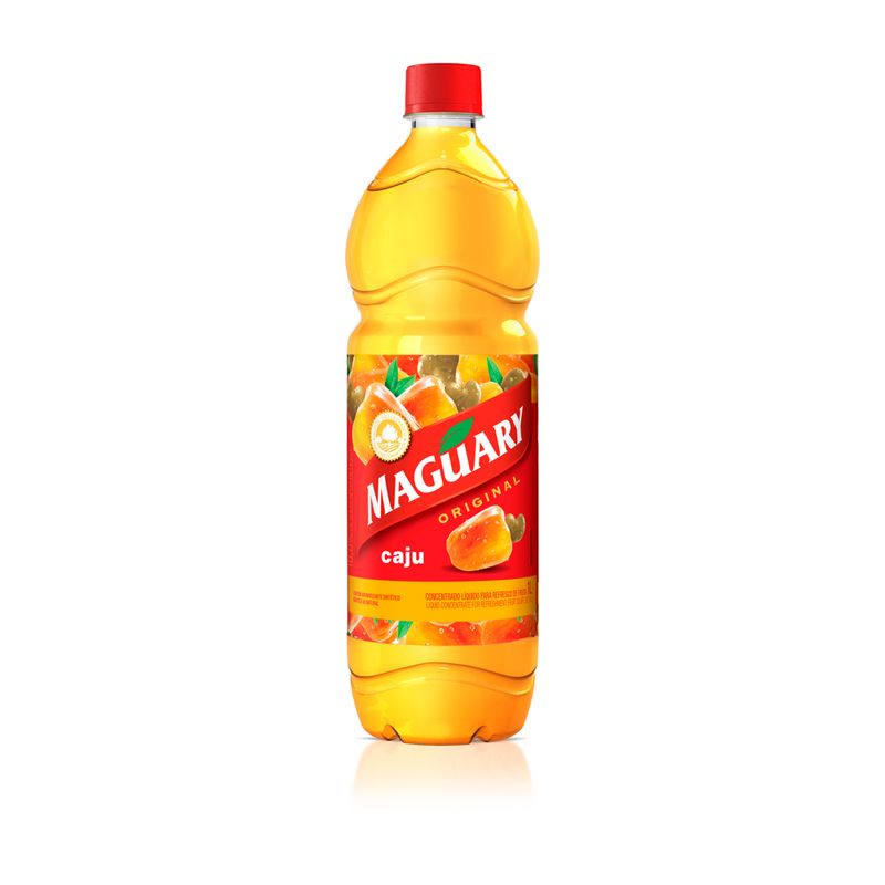 SUCO-CONC-MAGUARY-1L-CAJU