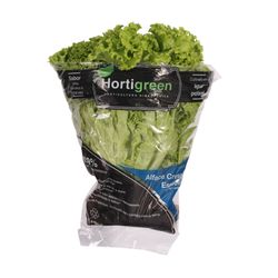 Alface Crespa Hortigreen Mc