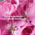 CR-TRAT-DOVE-190G-POD-PLANTAS-NUTR-GERANIO