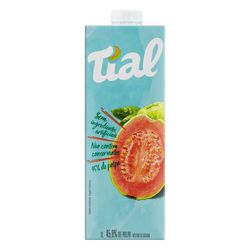 Beb C/Suco Tial Goiaba 1L