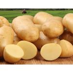 BATATA-PRIMEIRA-AT-KG