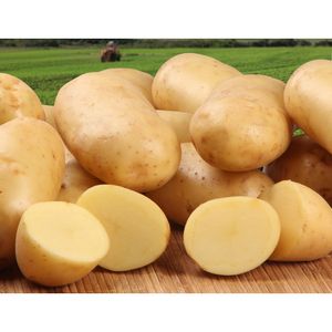 Batata Primeira Kg