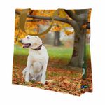 SACOLA-RET-ECOLOGICA-BOMPACK-UN-CACHORRO