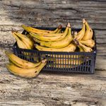 BANANA-TERRA-KG