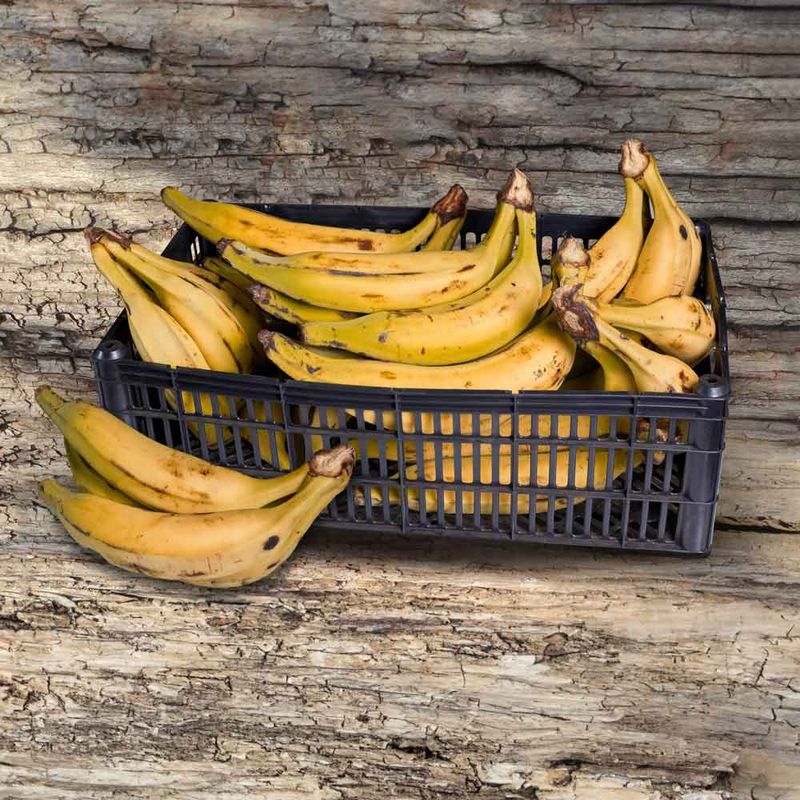 BANANA-TERRA-KG