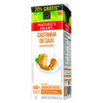 BEB-NATURES-HEART-1L-20--GRATIS-CASTANHA-CAJU