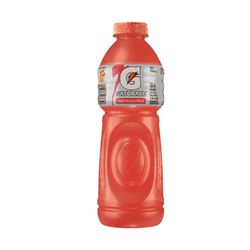 Isotônico Gatorade Frutas Cítricas Garrafa 500 ml