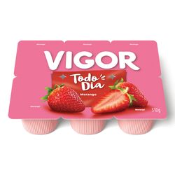 Bebida Láctea Polpa Vigor Todo Dia Morango 510g